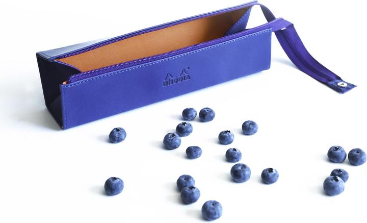 Actual product image Rhodia Hard case with zipper