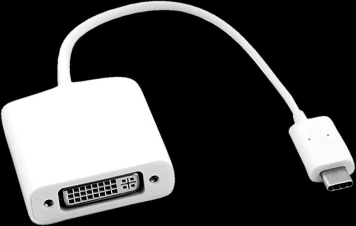 Actual product image Roline USB-C to (DVI, 10 cm)