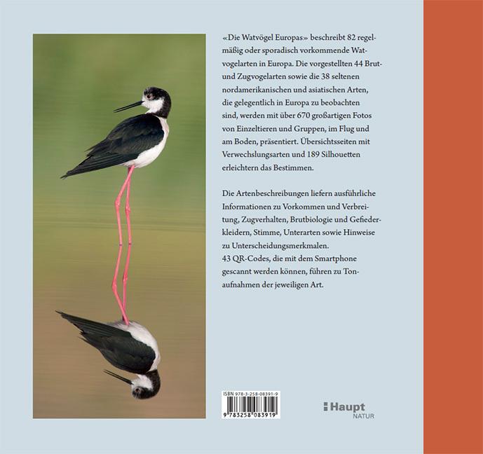 Produktbild Die Watvögel Europas (Deutsch, Kirsten Nutto, Martina Wiese, Lars Gejl, 2024)