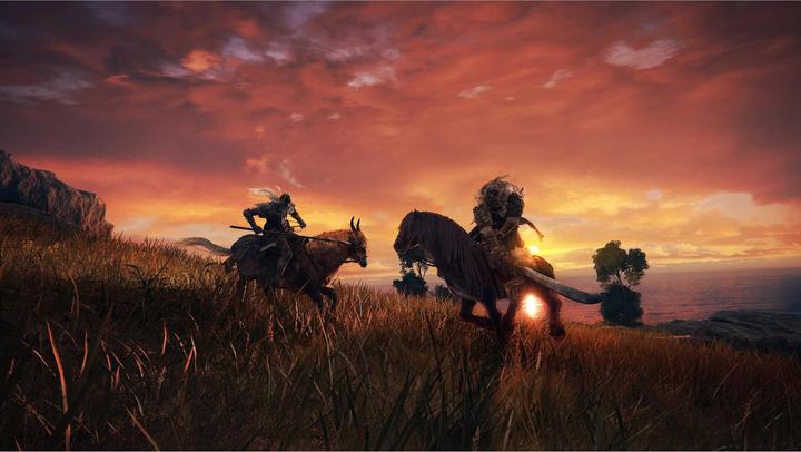 Produktbild Bandai Namco Elden Ring - Standard Edition (Xbox One X, Xbox Series X, Xbox One S, FR, DE, IT)