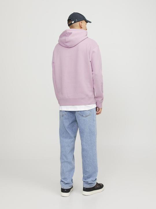 Image du produit Jack & Jones Sweat à capuche (XS)