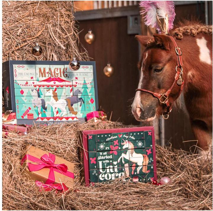 Produktbild Soulhorse Probenkalender
