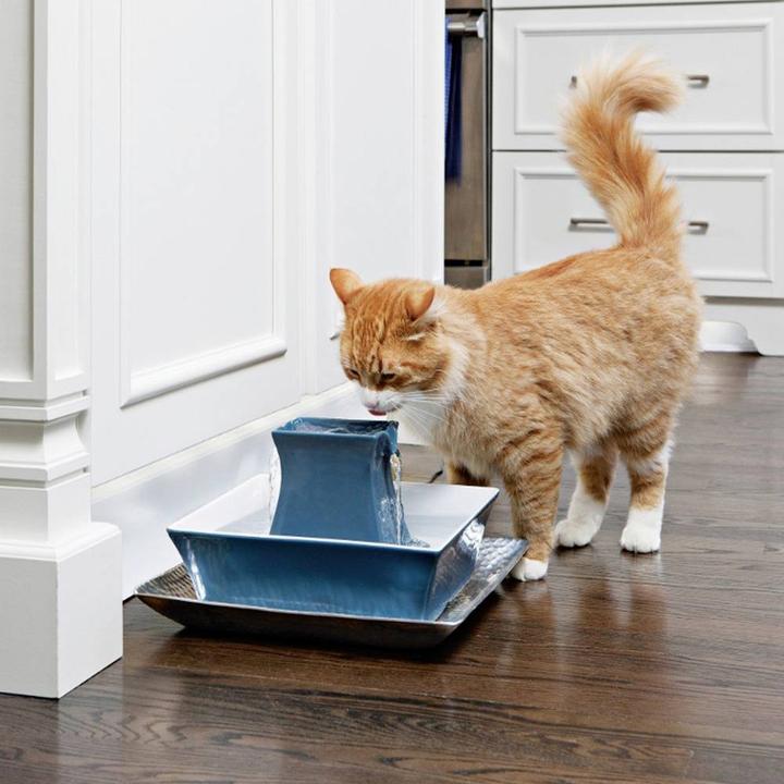 Produktbild PetSafe Pagoda (2.10 l)