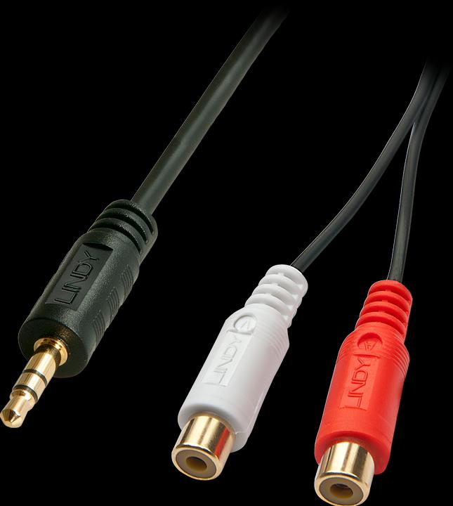 Actual product image Lindy Cinch socket - jack (0.25 m, 3.5mm jack (AUX), Cinch)