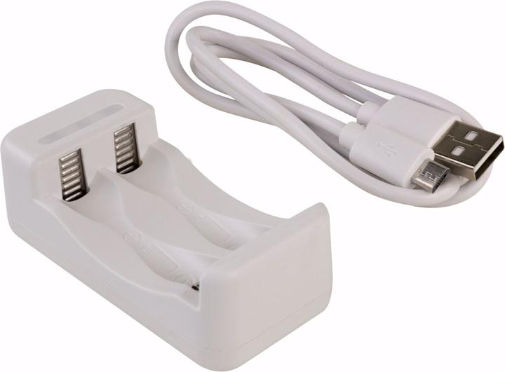 Immagine prodotto Ansmann Caricabatterie Basic II incl. 2 x AA 1300mAh batteria ricaricabile (1 pz., AA, 1300 mAh, Accumulatore di carica elettrica)