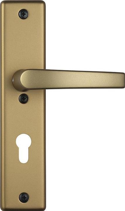 Actual product image Abus Corridor security fitting KLS114 F4 (Door handle)