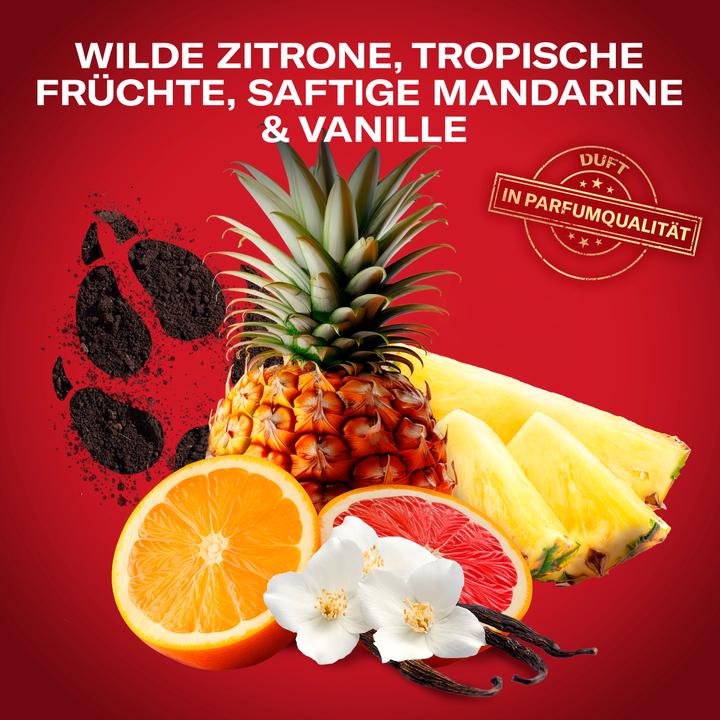 Image du produit Old Spice Wolfthorn (Stick)