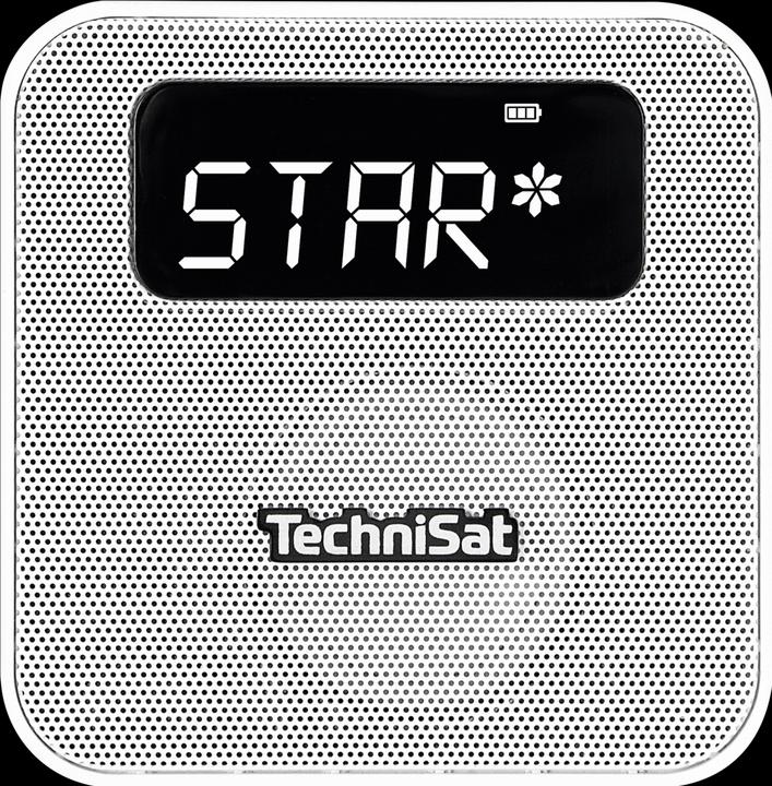 TechniSat Digitradio Flex DAB+ (FM, DAB+, Bluetooth)