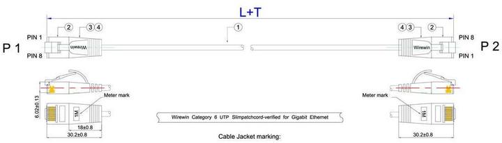 Image du produit Wirewin Câble réseau, rond (UTP, CAT6, 5 m)