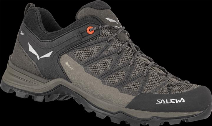 Produktbild Salewa Mountain Trainer Lite GORE-TEX (41)