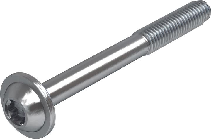 Actual product image Sherpa Locking screws (10 pcs.)