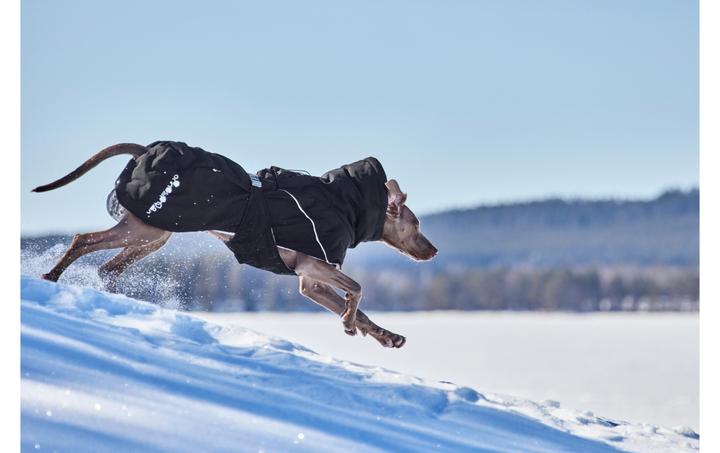 Image du produit Hurtta Extreme Warmer V3 Eco Noir, 25 cm (25, Manteau pour chien)