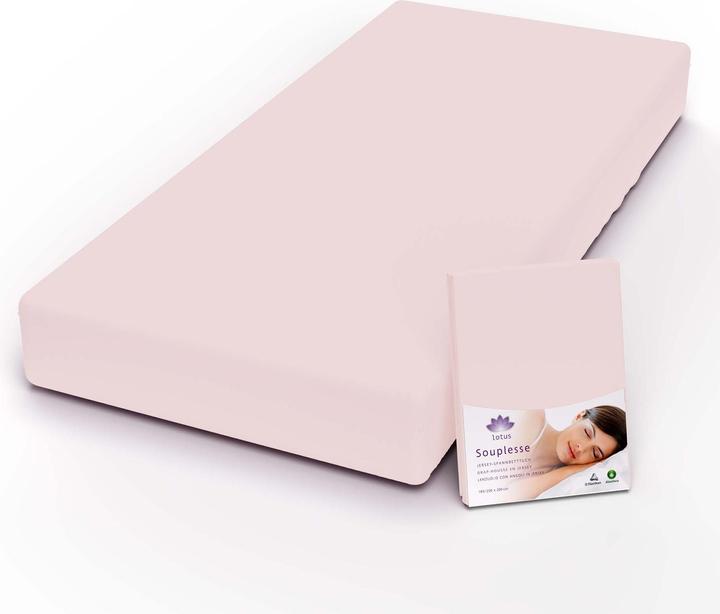 Actual product image Lotus Bettwaren Jersey fitted sheet Souplesse (200 x 220 cm)