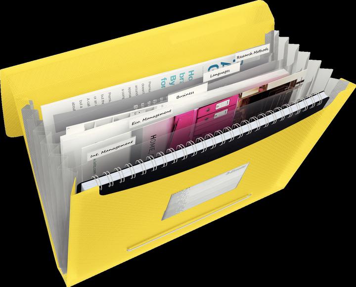 Actual product image Esselte Project File VIVIDA (A4, 1 x)