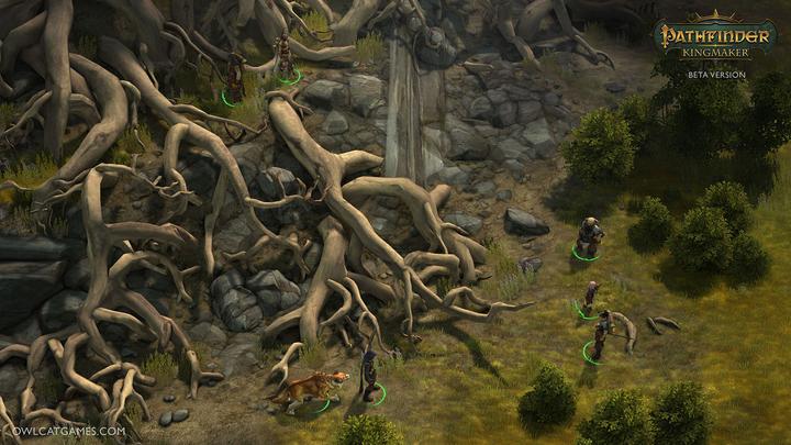 Produktbild Deep Silver Pathfinder: Kingmaker - Definitive Edition (Xbox One X, Xbox Series X, IT)