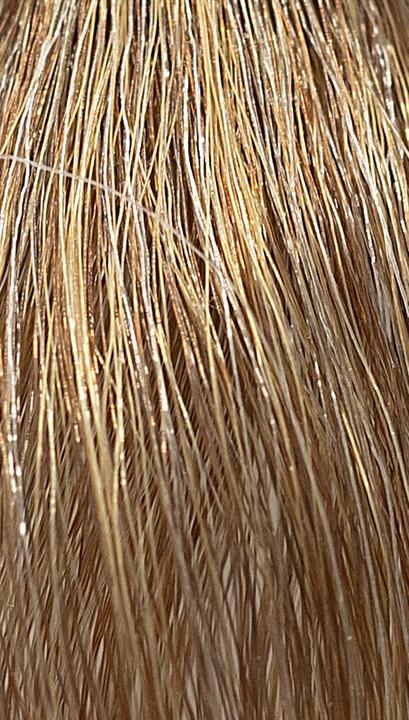 Produktbild Ref. Soft Colour Coloration 8.31 Light Gold Ash Blonde 3 x 50 ml (8.31 Light Gold Ash Blonde)