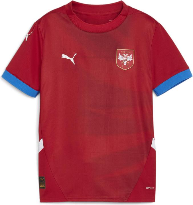 Produktbild Puma FSS Home Jersey Replica Jr (152)