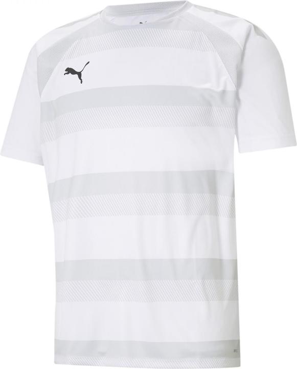 Actual product image Puma teamVISION Jersey-704921 (M)