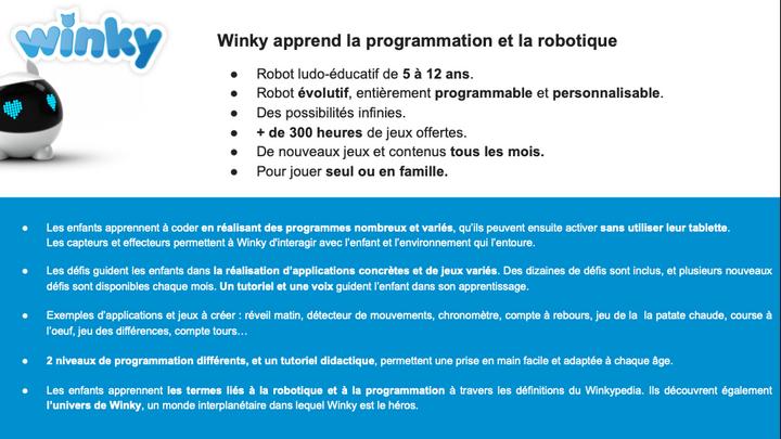Actual product image Mainbot Robot Winky (French)