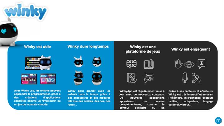 Actual product image Mainbot Robot Winky (French)