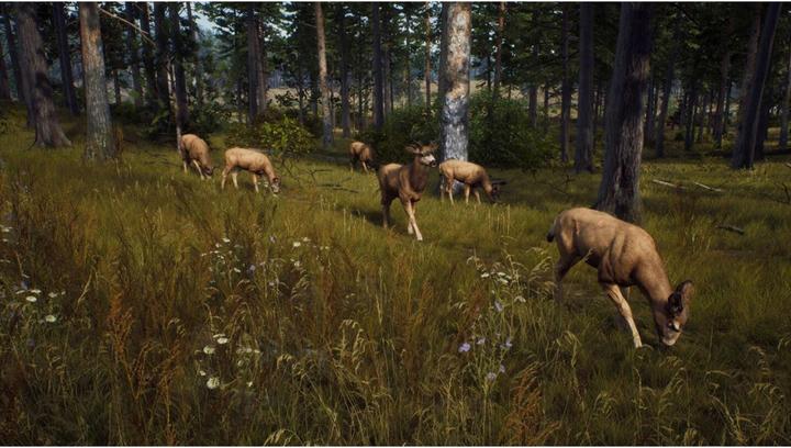 Image du produit THQ Way of the Hunter (PS5, EN, FR, IT)
