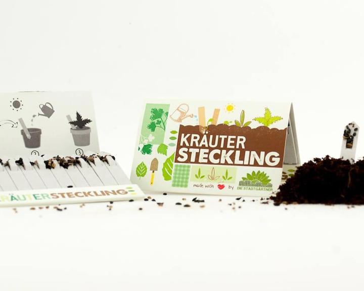 Produktbild Steckling Kräuter (Kräutersamen)