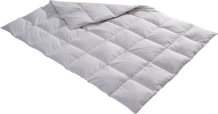 Produktbild Billerbeck Edition Thea (800 g, 200 x 210 cm)