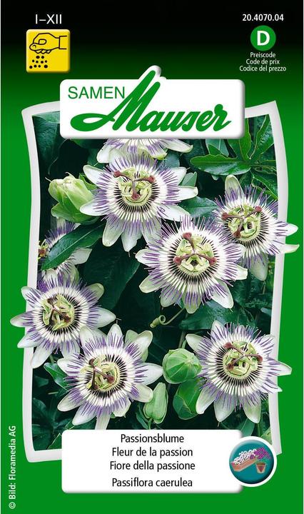 Actual product image Samen Mauser Passion flower (Flower seeds)