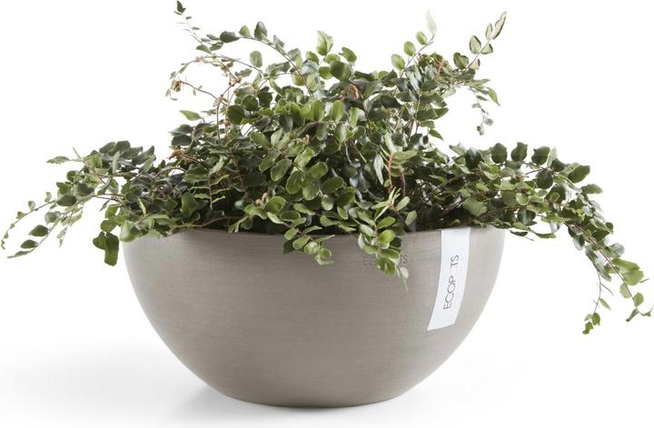 Produktbild Ecopot Brussels (25 cm)