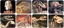 Actual product image Scratch Projector Flashlight Dinosaur incl. screens (German, French, Italian, English)