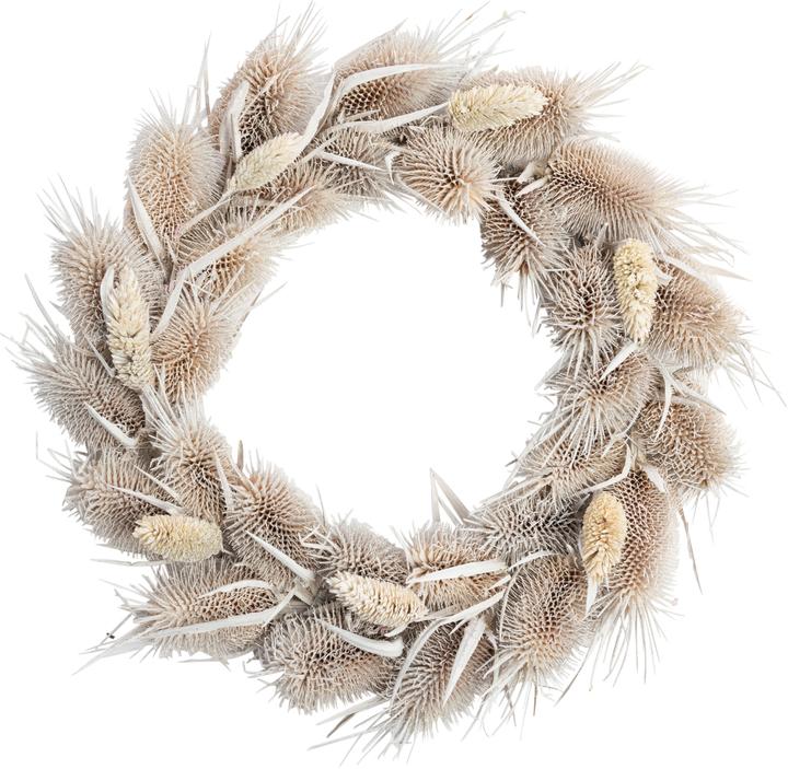 Produktbild VBS Trockenblumen Kranz "Kardendistel", Ø ca. 30 cm