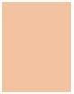 Actual product image Dior Forever No Transfer 24H Foundation (3CR Cool Rosy)