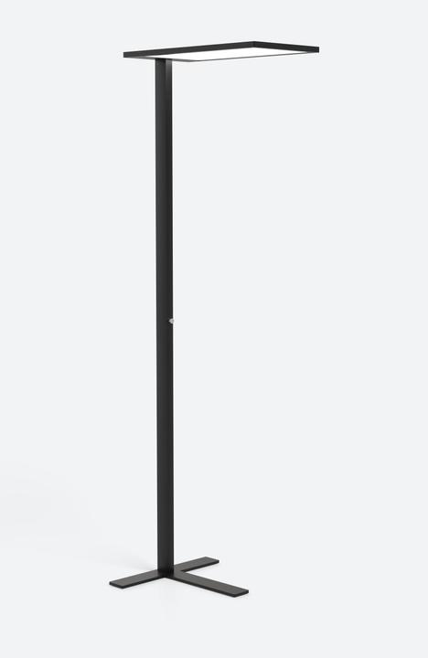 Actual product image ofinto Lumino (10000 lm)