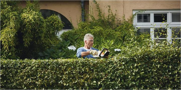 Immagine prodotto Stihl HSA 45 (Tagliasiepi a batteria)