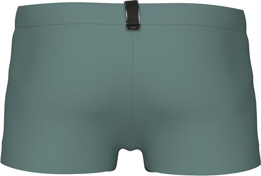 Actual product image Arena M Evo Swim Short (7, L)