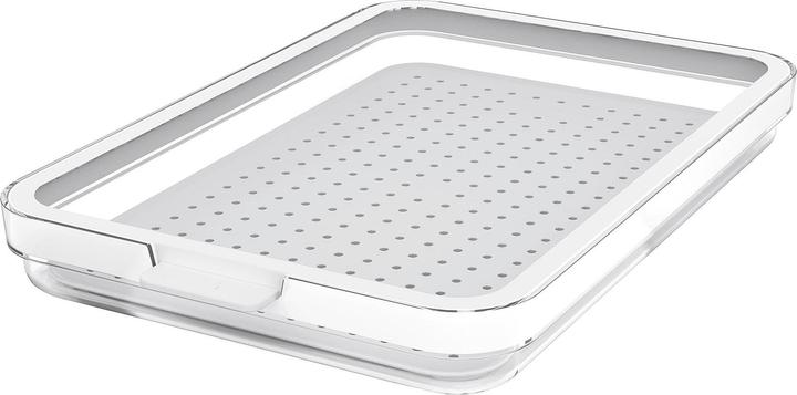 Actual product image Rotho Refrigerator organis. Cauma