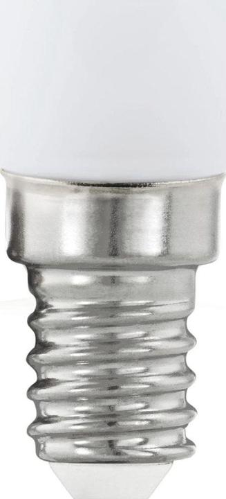 Actual product image EGLO LED illuminant (E14, 2.50 W, 210 lm, 1 x, G)