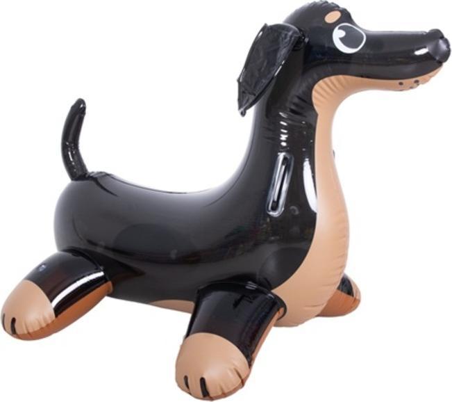 Actual product image Jilong SUP Pumpe