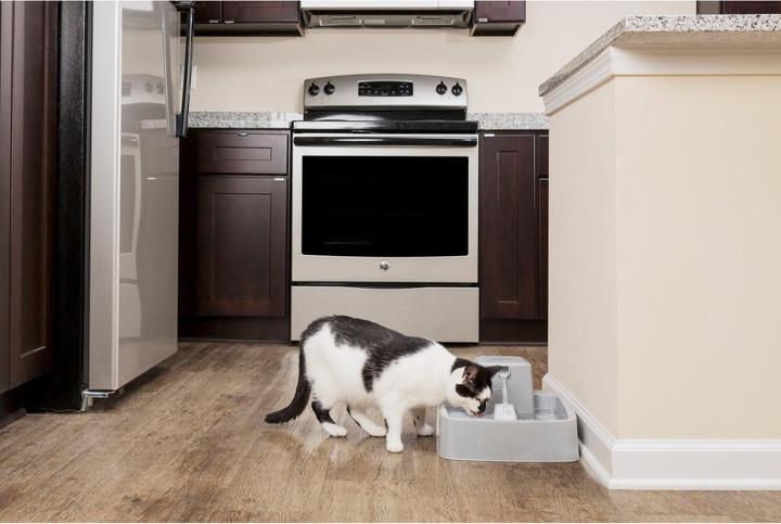 Immagine prodotto Sportdog Fontana per animali domestici Drinkwell da 3,7 litri - Adattatore UE (3.70 l)