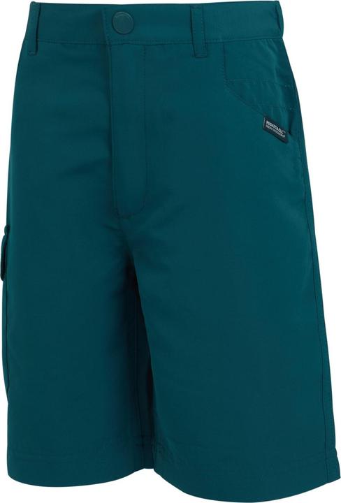 Image du produit Regatta - Short SORCER - Unisexe (104)