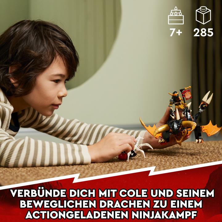 Immagine prodotto LEGO 71782 Cole's Earth Dragon EVO (71782, LEGO Ninjago)