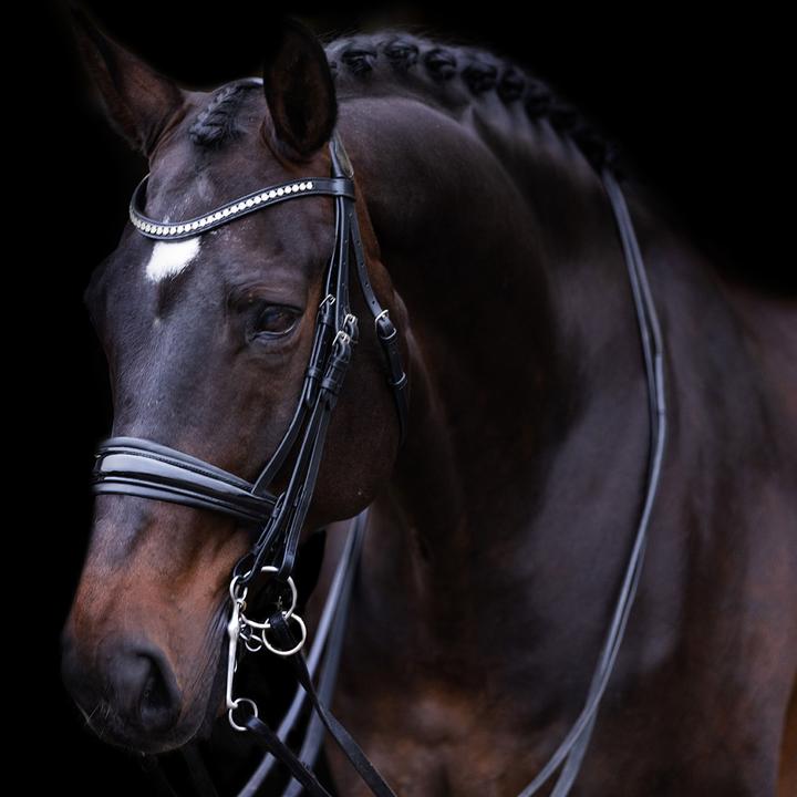 Image du produit Imperial Riding Fria