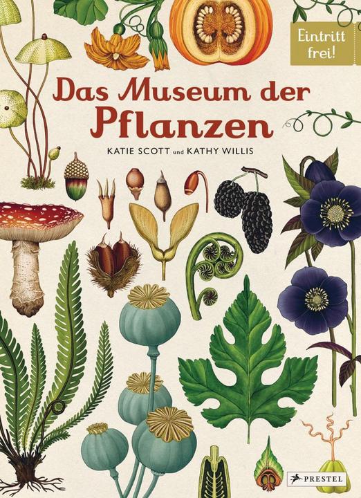 Produktbild Das Museum der Pflanzen (Deutsch, Kathy Willis, Katie Scott, 2016)