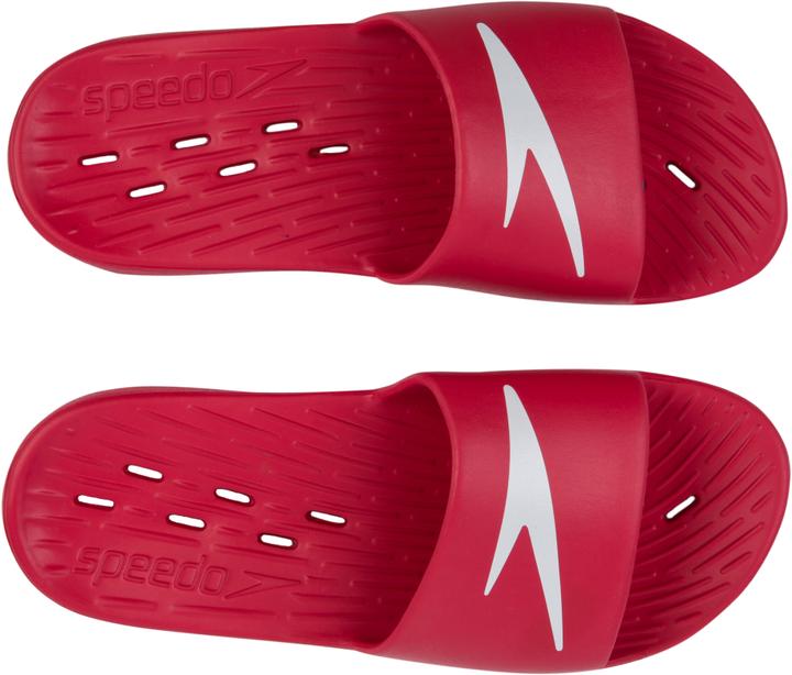 Speedo Slide AM