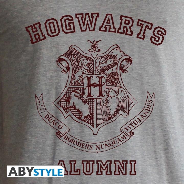 Immagine prodotto ABYstyle HARRY POTTER - Tshirt Alumni donna SS grigio rosso - Premium (XL)