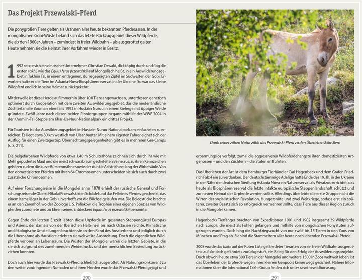 Produktbild Reise-Handbuch Reiseführer Mongolei (Deutsch, Michael Walther, Peter Woeste, 2024)