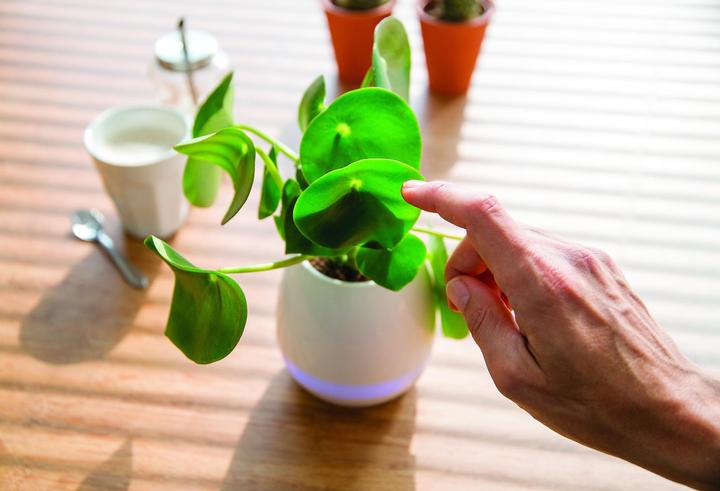 Produktbild XD Design Flowerpot Speaker (5 h)