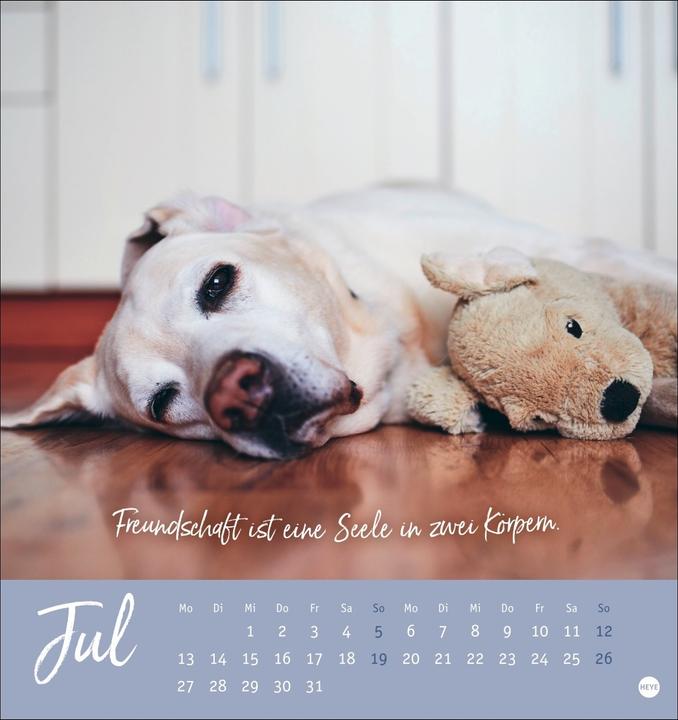 Image du produit Ziemlich beste Freunde Postkartenkalender 2026 - Für immer dein (Couverture rigide, Allemand)