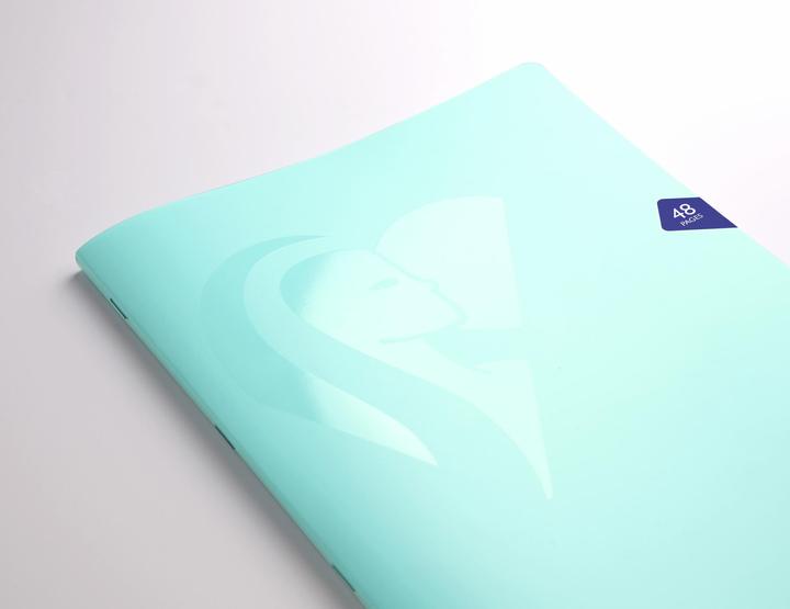 Image du produit Clairefontaine Cahier piqué Mimesys PASTEL 24x32 cm 48 pages grands carreaux couverture polypropylène - (Couverture souple)
