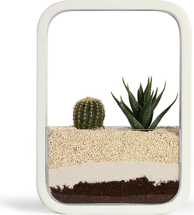 Immagine prodotto Livoo Giardino d’interno (5.20 cm)